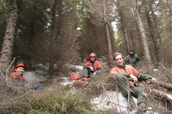 Samvinna milli deilda