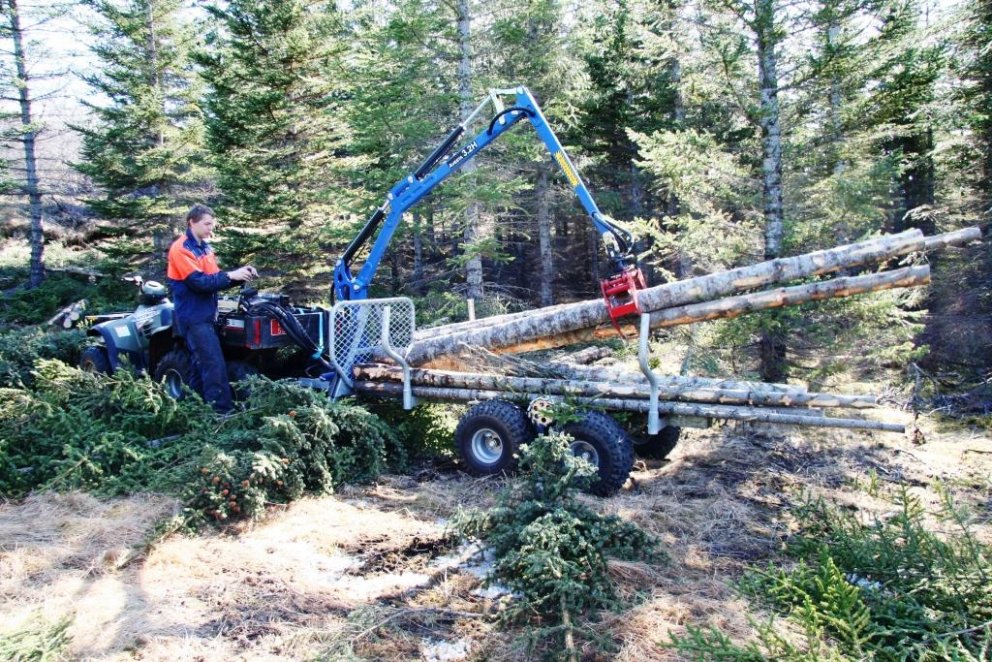 Prófun á litlum timburvagni við grisjun