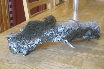 Skeggjaður viðardrumbur