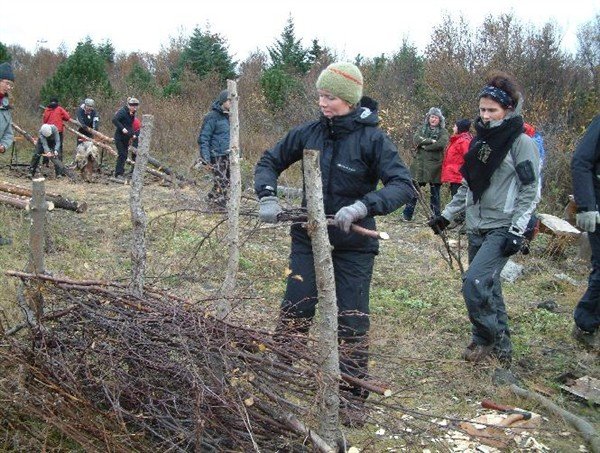 Skógarnáskeið í framhaldsnámi Háskóla Íslands