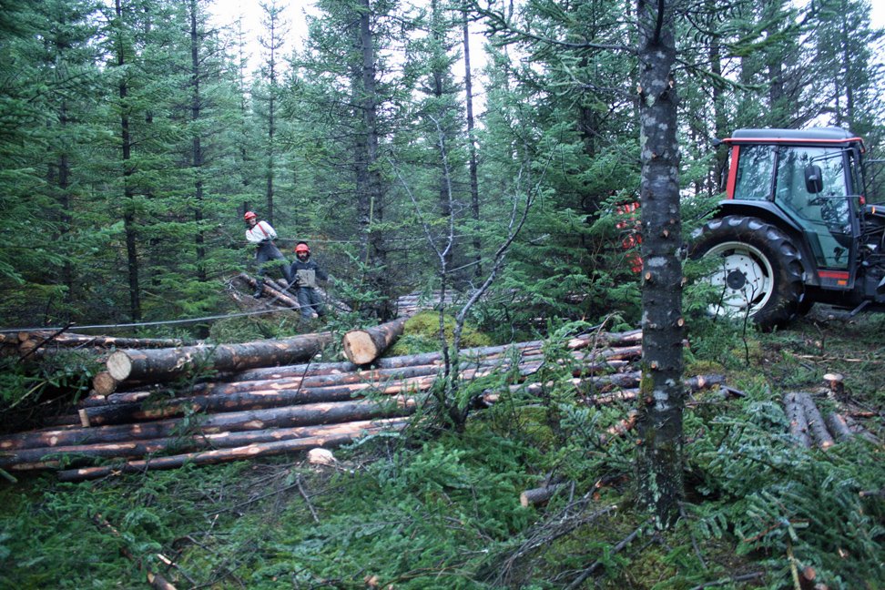 (Mynd: Christoph Wöll)