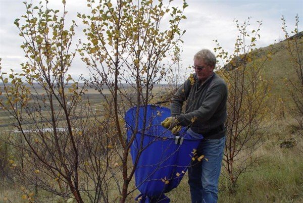 Fræsöfnun meðal almennings