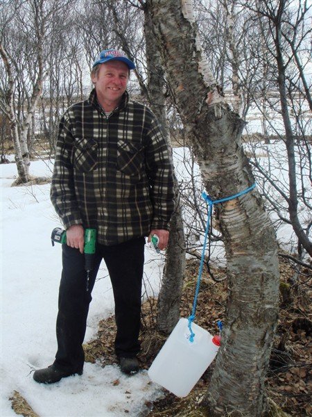 Birkisafinn flæðir