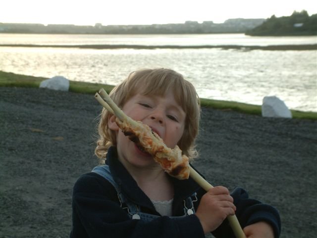 Mynd: Ólafur Oddsson