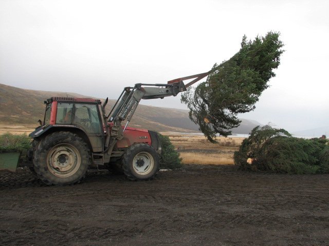 Jólaundirbúningurinn hafinn