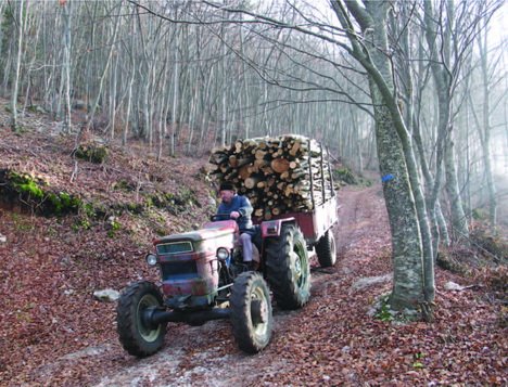Íslenskir stjórnarmeðlimir í Evrópusambandsverkefni