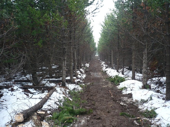 (Mynd: Christophe Amblard)