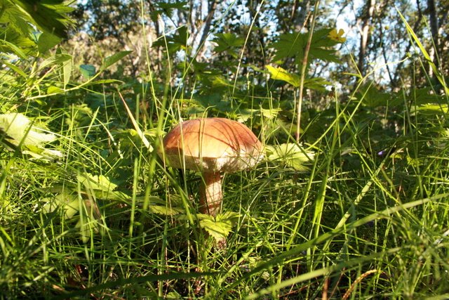 Mynd: Hreinn Óskarsson