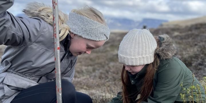 Mynd úr fréttabréfi Skógræktarfélags Reykjavíkur