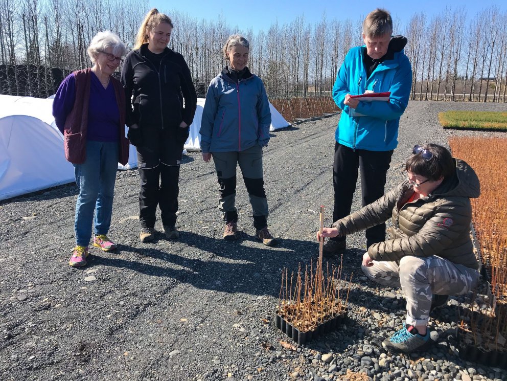 María E. Ingvadóttir, stjórnarformaður Kvistabæjar, Aldís Björk Sigurðardóttir ræktunarstjóri og Hól…
