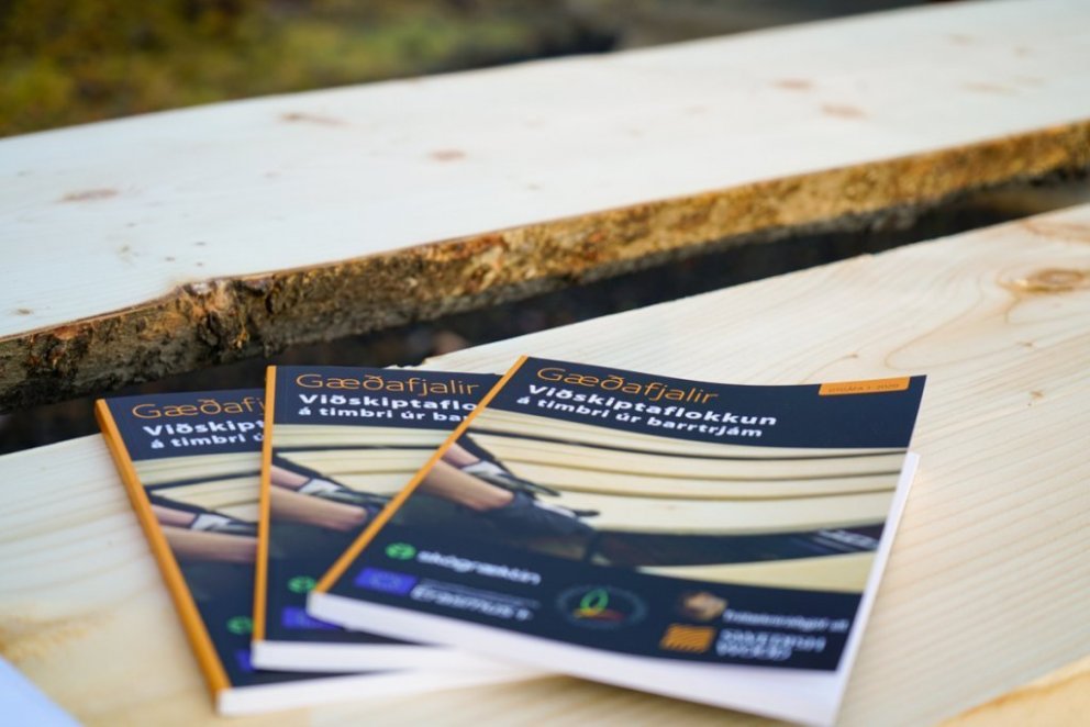 Commercial grading of timber from Icelandic conifer trees