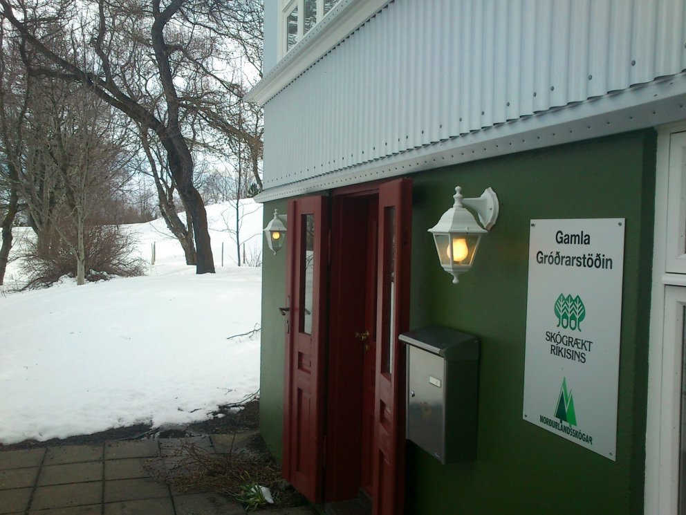 Uppkvistun og blandskógar