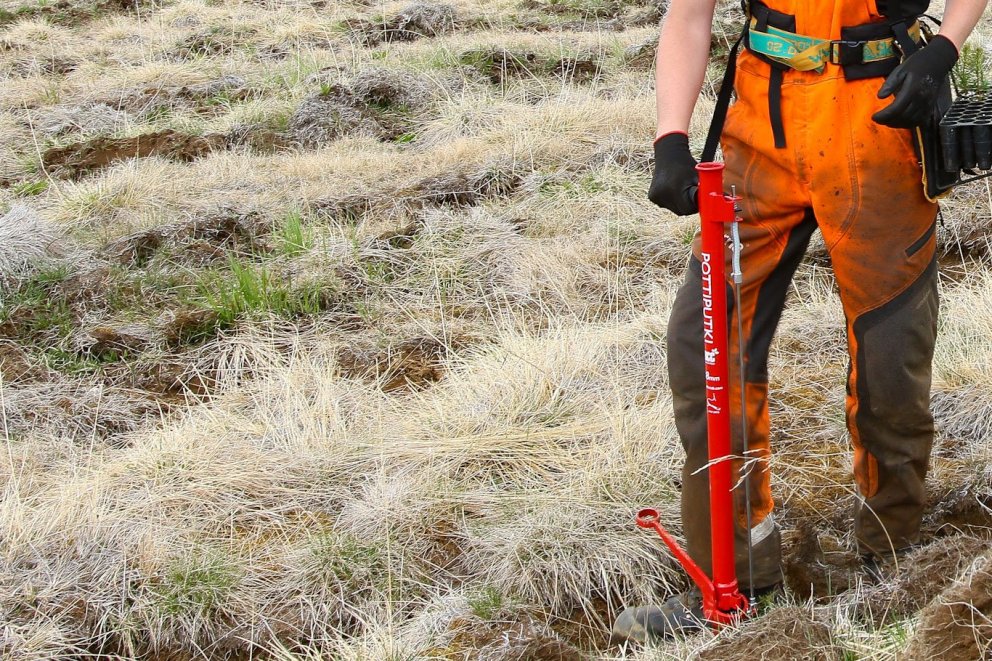 Þrjár stöður skógræktarráðgjafa lausar til umsóknar