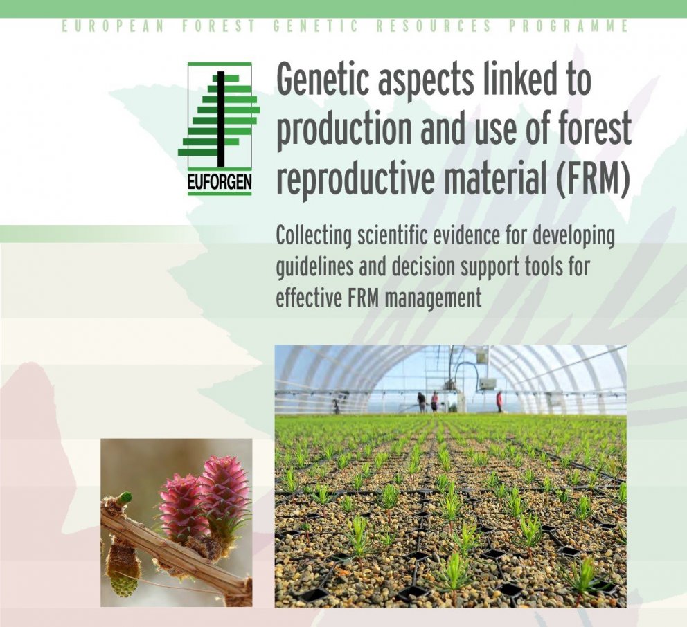 Erfðaefni skóga lykillinn að heilbrigðum skógum framtíðar
