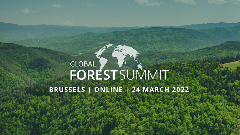 Heimsráð skógarsérfræðinga fundar í annað sinn