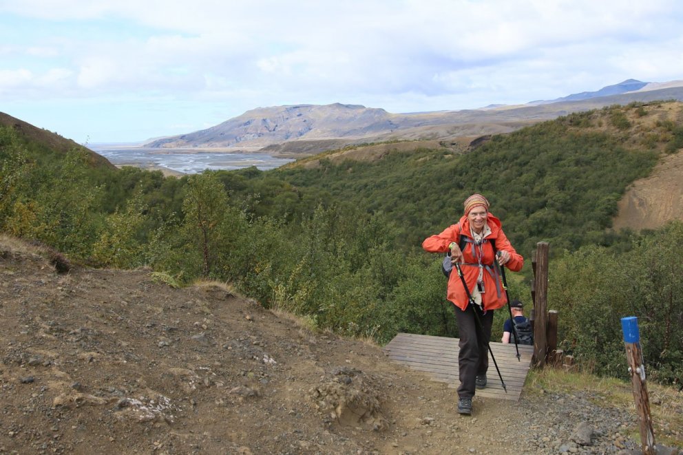 Fyrir einni öld var skógurinn á Þórsmörk kominn að fótum fram og ekkert blasti við nema eyðing hans.…