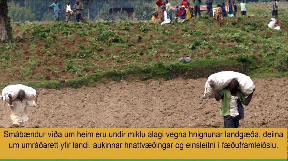 Framtíð landgæða jarðar í þættinum Græðum landið