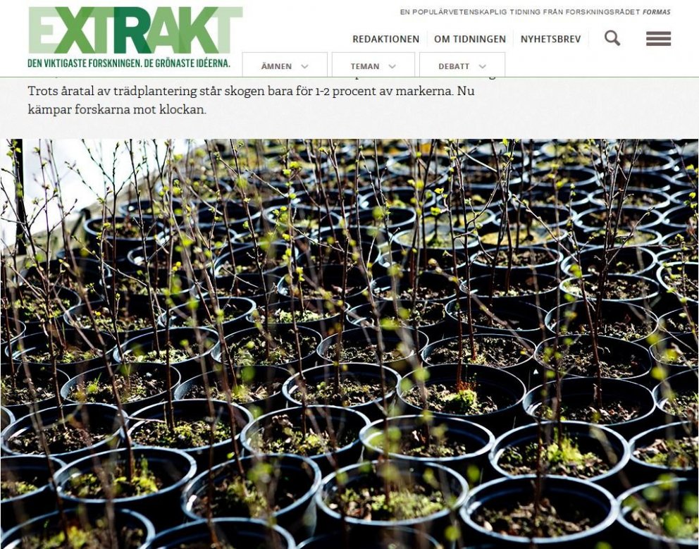 Grænna Ísland - Íslensk skógrækt enn í erlendu pressunni