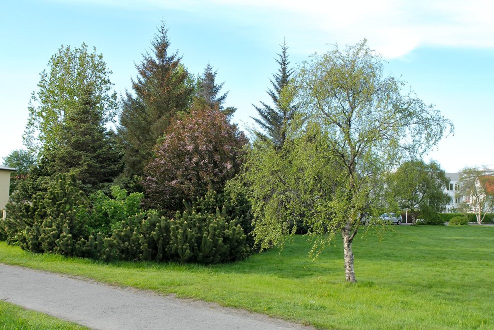 Ljósmynd: Pétur Halldórsson