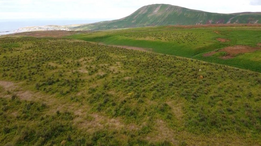 Séð af Grásteinsheiði til Húsavíkur og Húsavíkurfjalls. Í forgrunni er svæði sem sáð var í lúpínu og…