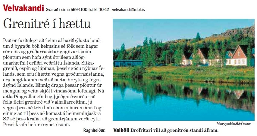 Grenitrjám á Þingvöllum beðið griða í Velvakanda