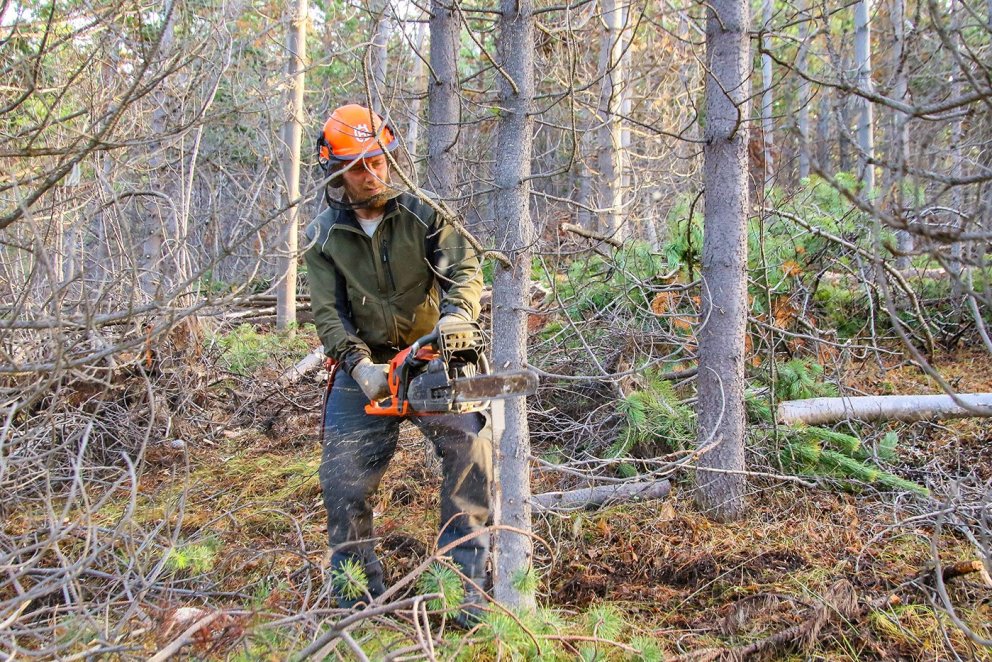 Ljósmynd: Pétur Halldórsson