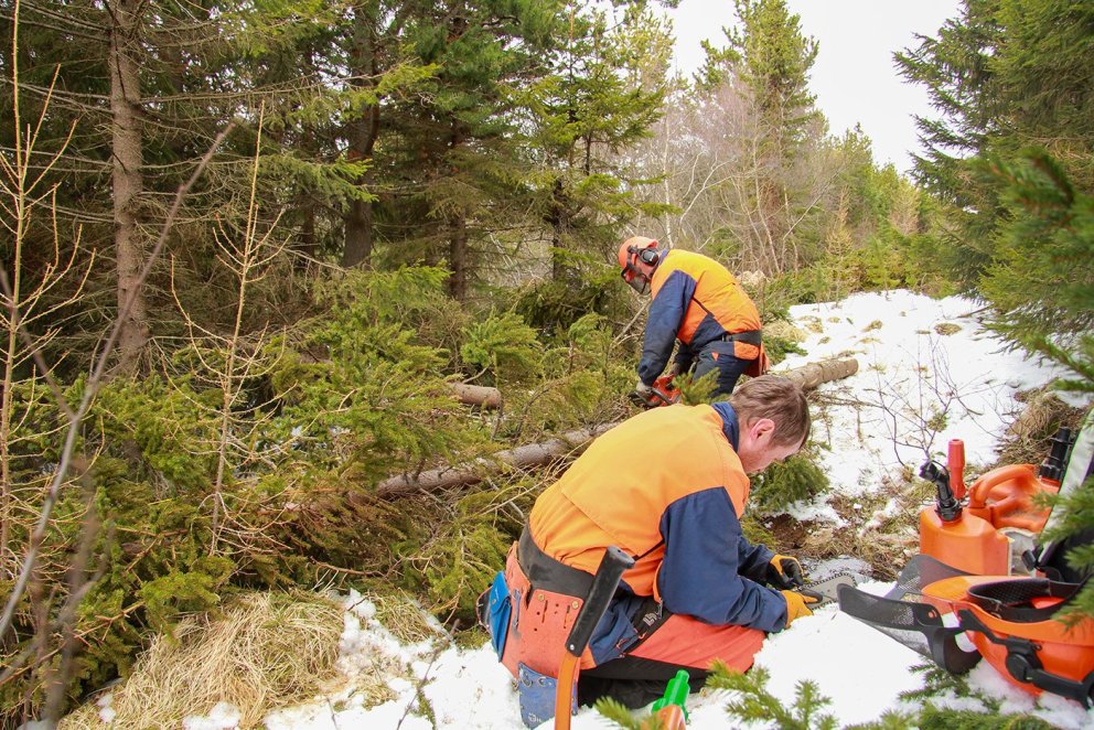 Reglulegt viðhald keðjusagar er nauðsynlegt, ekki síst brýning keðjunnar sem bæði eykur afköst, auðv…