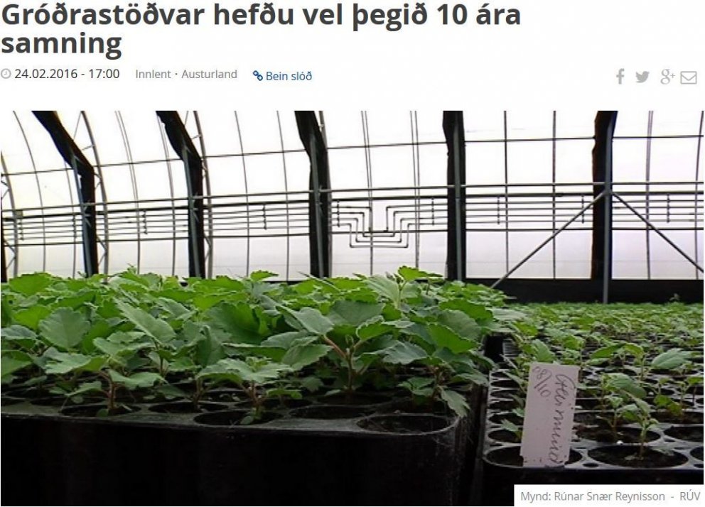 Gróðrarstöðvar hefðu vel þegið 10 ára samning