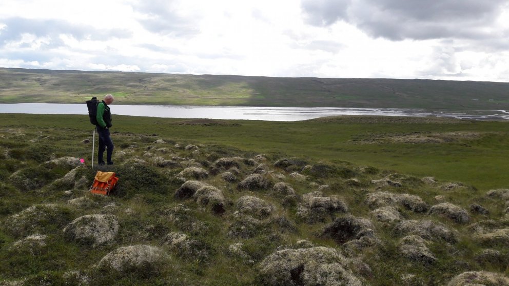 Gróðurfar í reit F4 í tilraun til hagaskógræktar á ógirtu landi þar sem sauðfé gengur. Ljósmynd: Sæm…