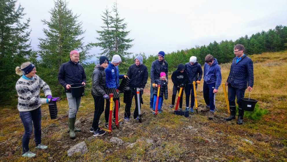 Flest ungmenni á Íslandi hafa einhverja reynslu af gróðursetningu trjáplantna gegnum skóla eða félag…