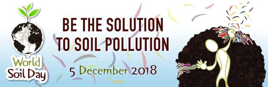 Hádegisfundur á alþjóðlegum degi jarðvegs