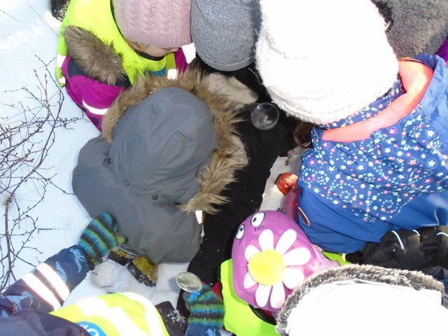 Hvort sem er vetur eða sumar, vor eða haust, fara börnin út í skóginn til að læra og upplifa. Börn s…