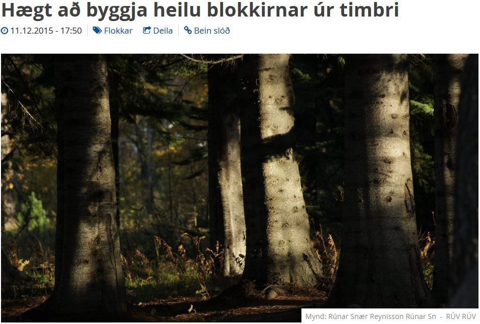 Útvarpið fjallar um blokkir úr timbri