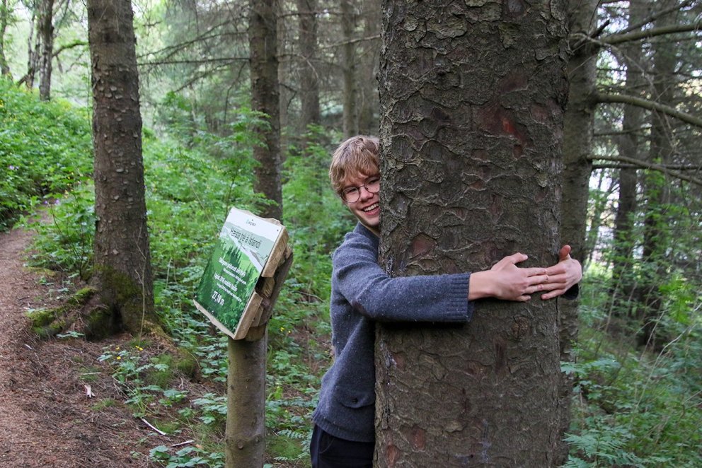 Tækifæri gefst til að knúsa hæsta tré landsins við athöfnina á Klaustri á mánudaginn. Spurningin er …