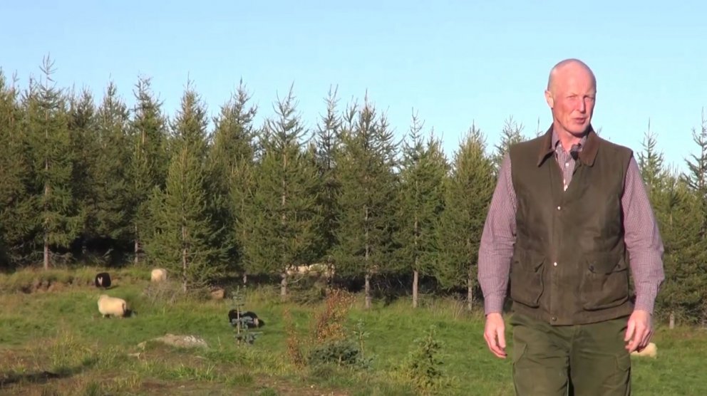 Jóhann Þórhallsson, með sauðfé sínu í skóginum Brekkugerði Fljótsdal. Skjámynd úr myndbandi