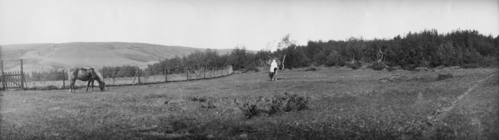 Fyrr og nú - Vaglaskógur 1906 og 1914