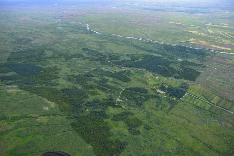 Veruleg breyting hefur orðið á gróðri í Haukadalslandi frá því að Skógræktin hóf þar uppgræðslu og s…