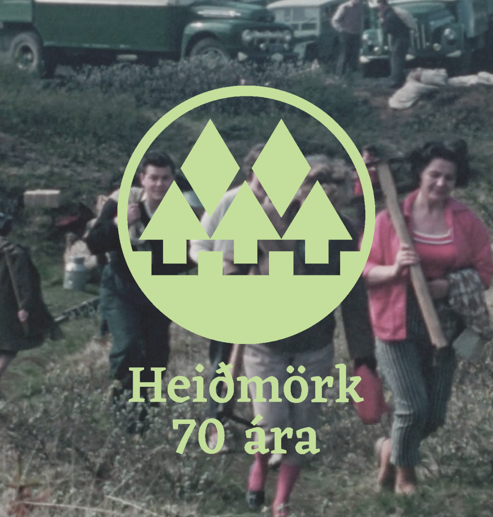 Afmælisári Heiðmerkur fagnað með ýmsu móti