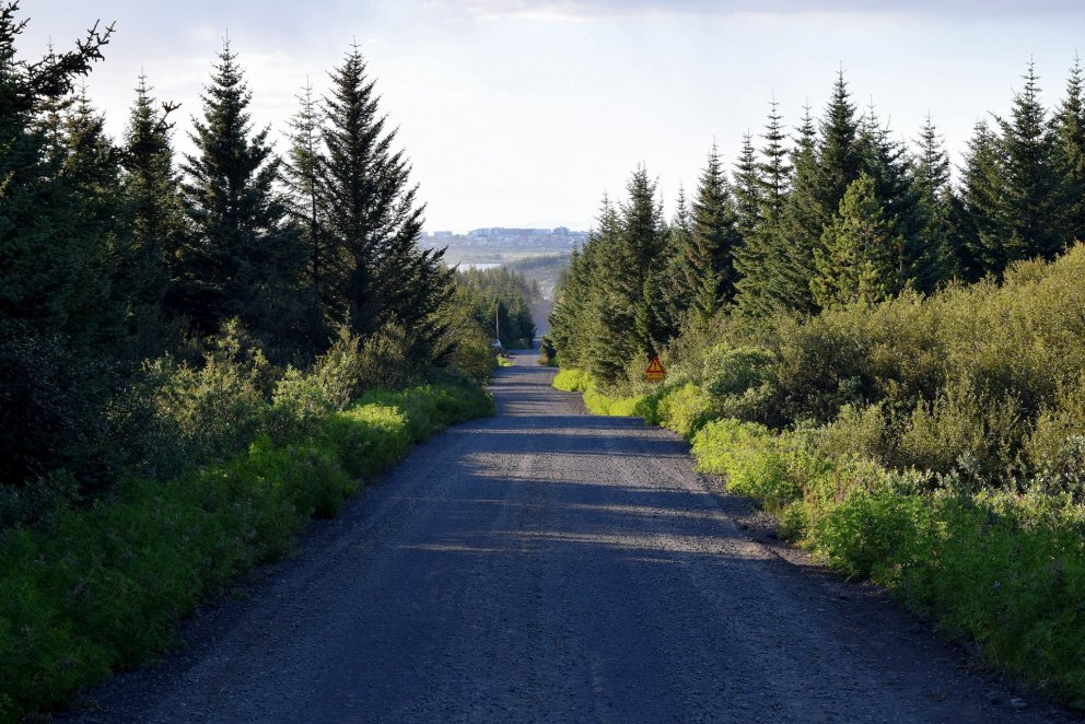 Úr Heiðmörk. Mynd af vef OR.