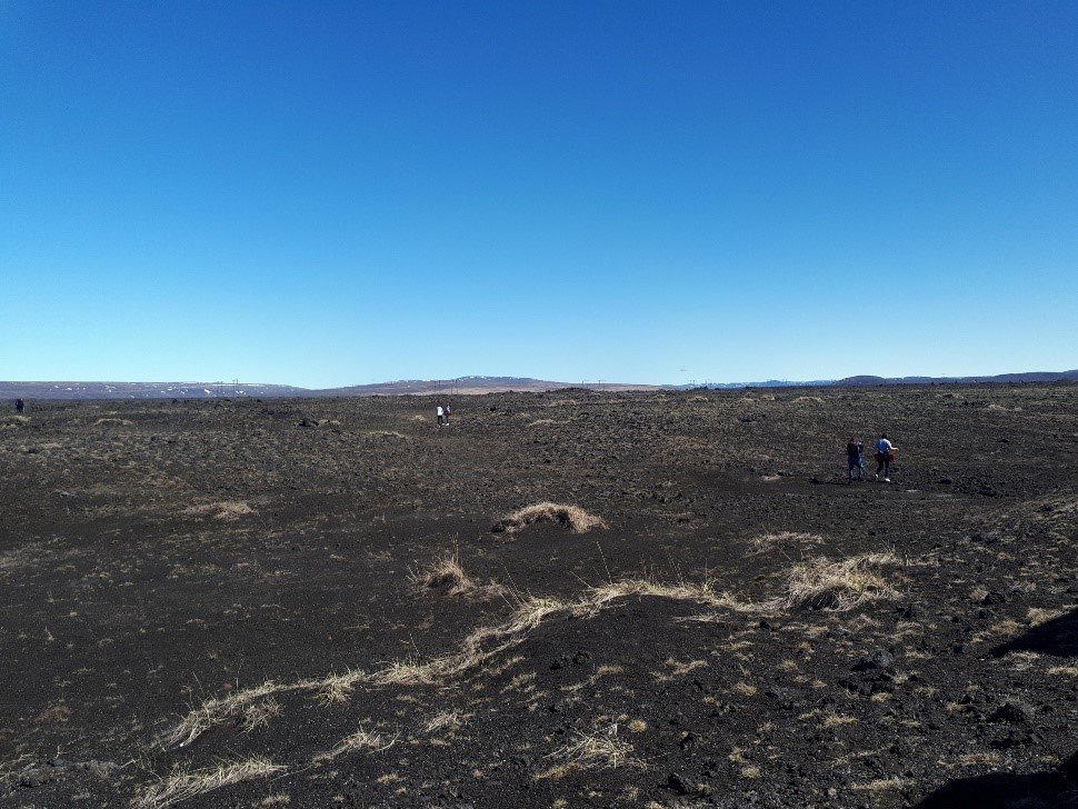 Vel gengur hjá Hekluskógum og í sumar verða gróðursettar um 300.000 birkiplöntur á svæði verkefnisin…