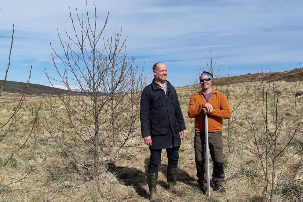 Aðalsteinn Þorsteinsson, skógarbóndi á Hjalla, ásamt Benjamín Erni Davíðssyni skógræktarráðgjafa í a…