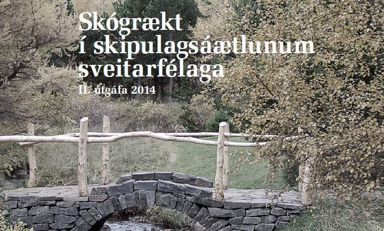 Skógrækt í skipulagsáætlunum sveitarfélaga