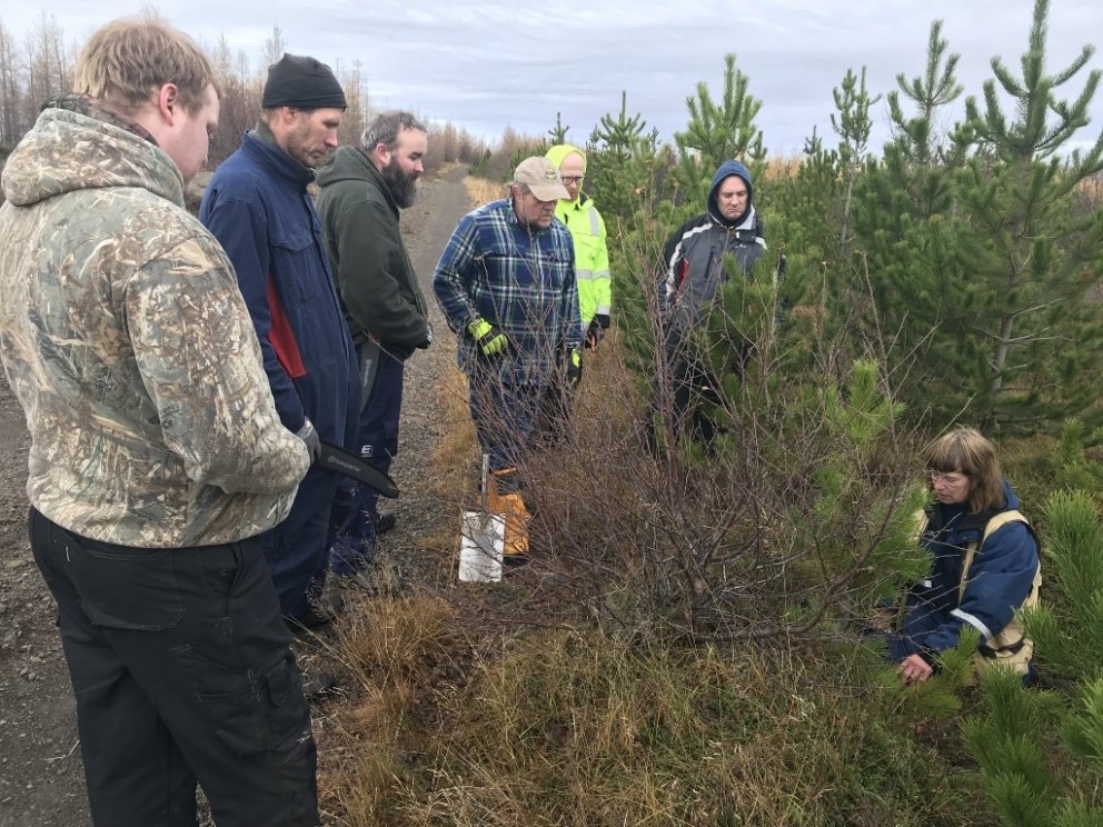 Síðari dagurinn var verklegur og megináherslan lögð á verkliði á borð við tvítoppaklippingu, snyrtin…
