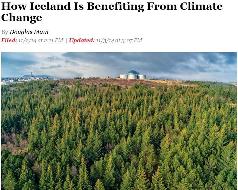 Newsweek fjallar um skógrækt á Íslandi