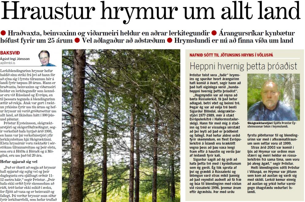 Viðarmyndun Hryms allt að þreföld á við rússalerki