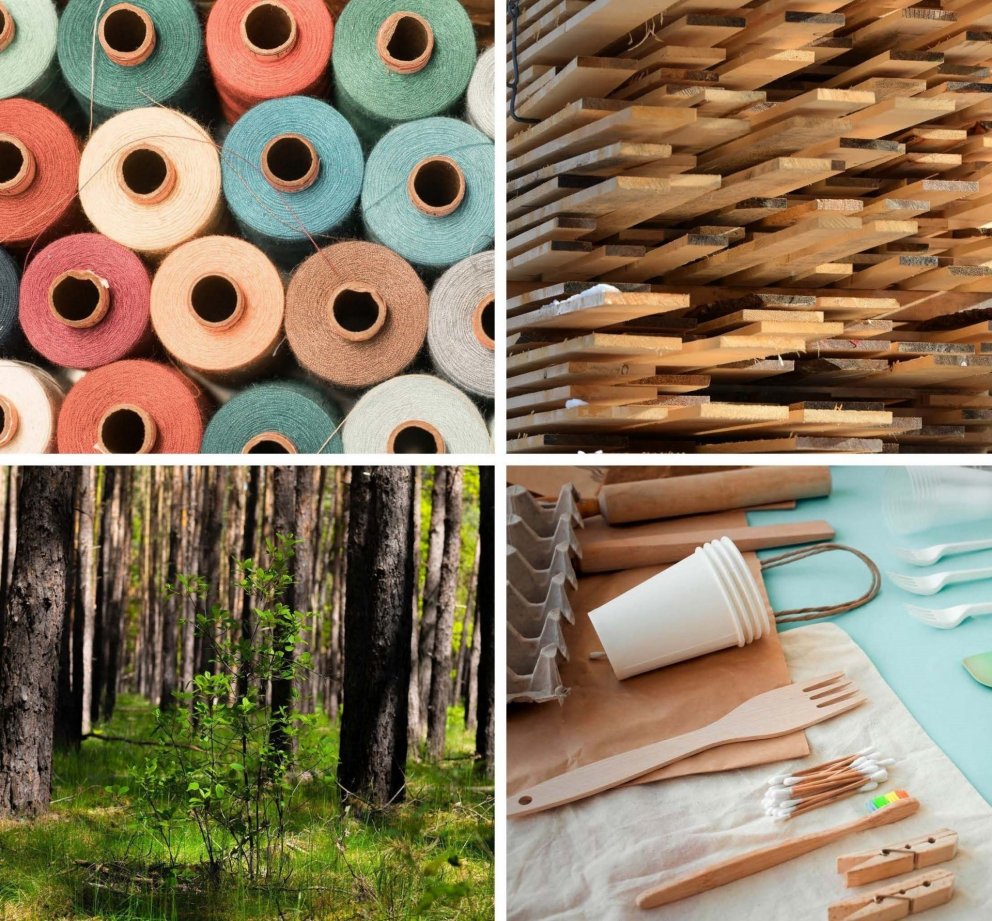 Mynd úr fréttatilkynningu UNECE/FAO