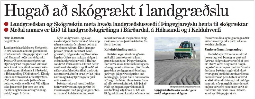 Skógar bindi kolefni á landgræðslusvæðum