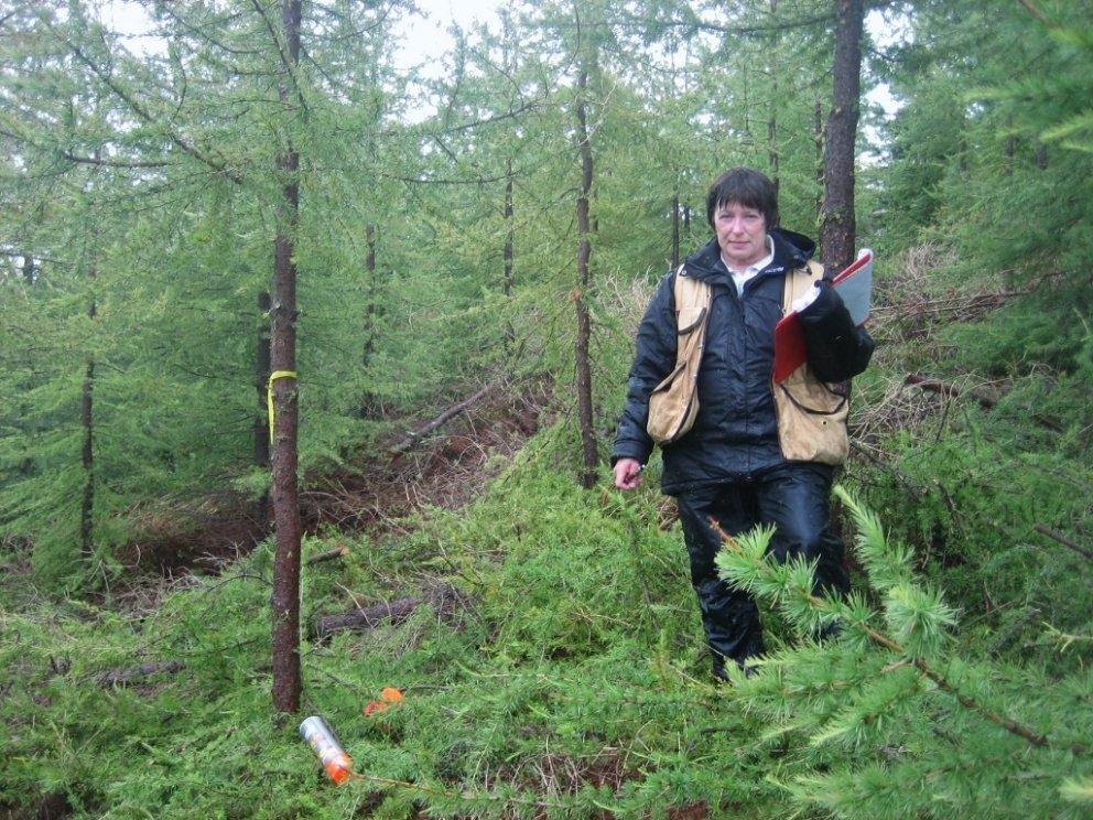 Sherry við úttekt á rigningardegi í Hvammi á Völlum.