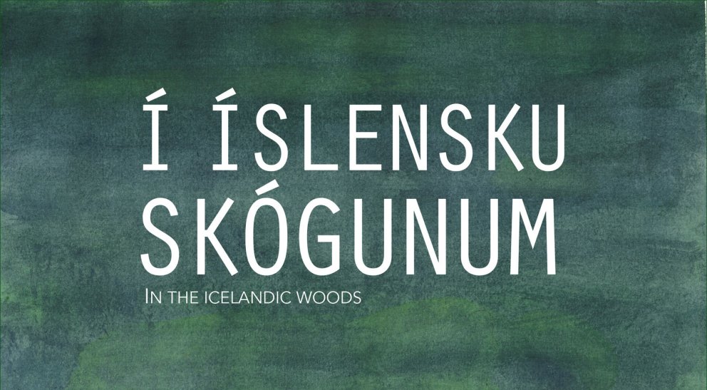 Í íslensku skógunum