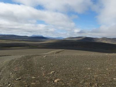 Afforesting Iceland - a Cause for Optimism